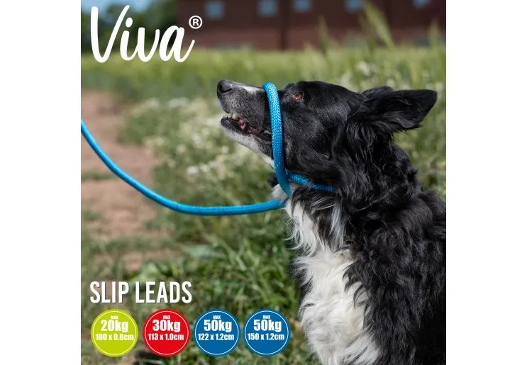 Ancol - Viva Nylon Reflective Rope Slip Lead - Blue - 150cm x 8mm (Max 20kg)