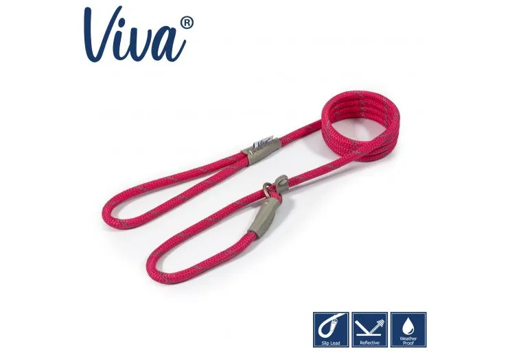 Ancol - Viva Nylon Reflective Rope Slip Lead - Blue - 150cm x 8mm (Max 20kg)