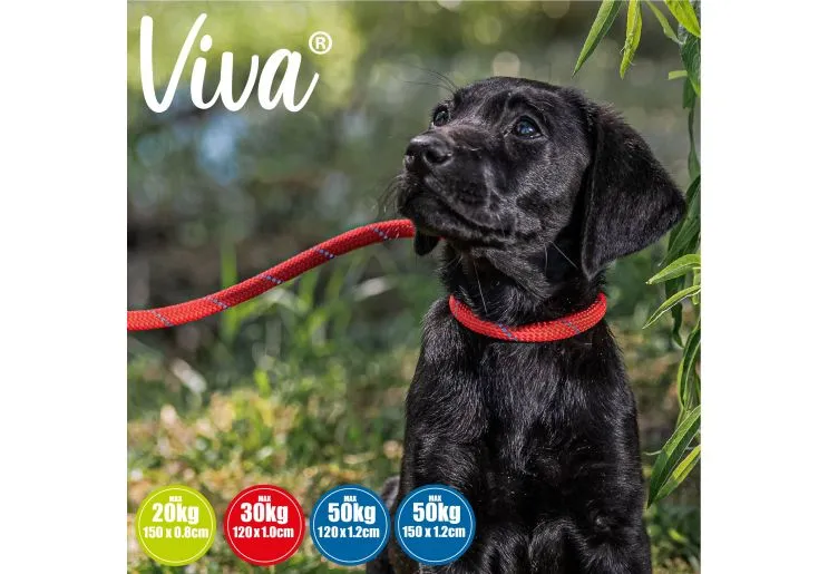 Ancol - Viva Nylon Reflective Rope Slip Lead - Blue - 150cm x 8mm (Max 20kg)