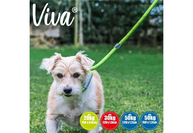 Ancol - Viva Nylon Reflective Rope Slip Lead - Blue - 150cm x 8mm (Max 20kg)