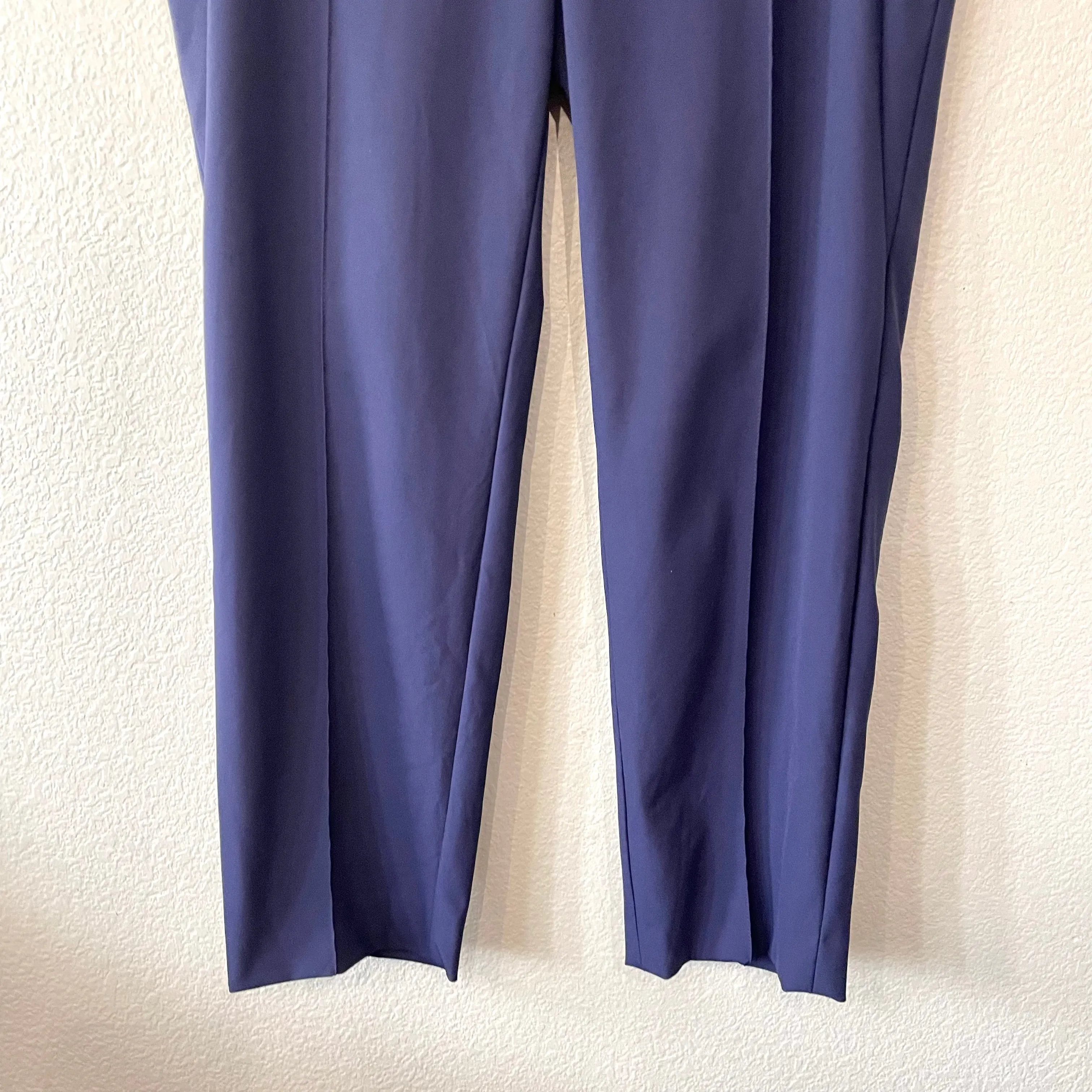 Front Seam Pleated Dress Pants