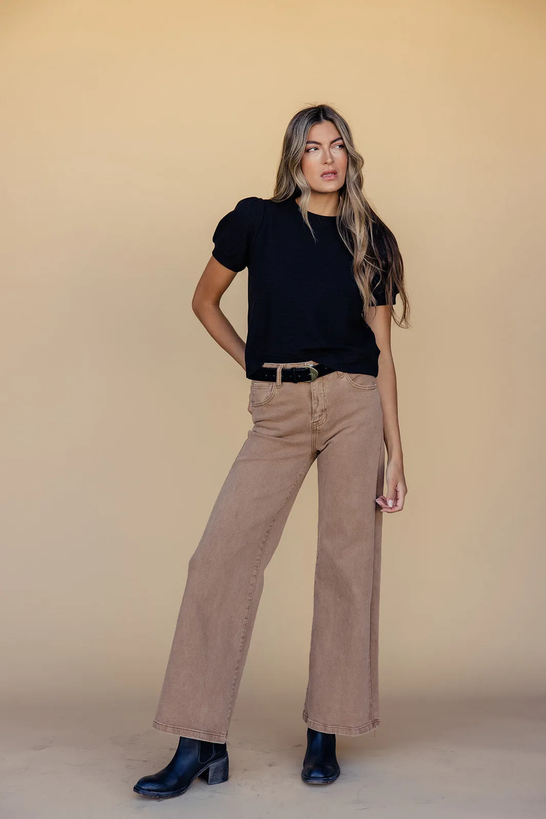 New Aesthetic Puff Sleeve Top