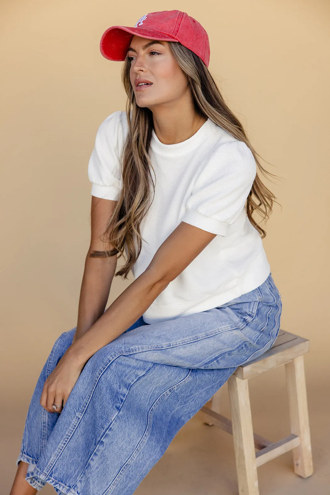 New Aesthetic Puff Sleeve Top